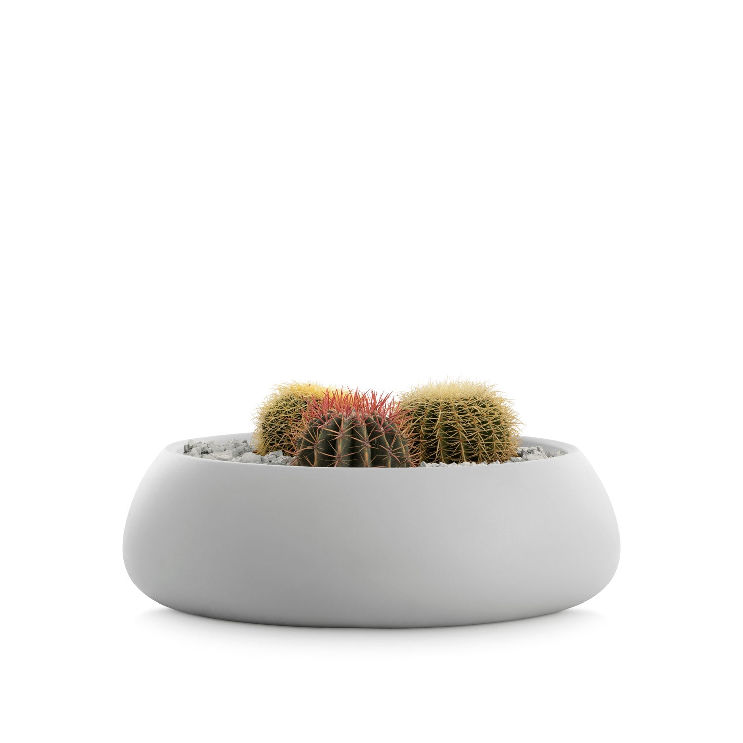 SAHARA 4 Plantekrukke